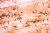 ОЕ Кулир набивной с лайкрой 0194-03/oranj 175гр 96см пачка